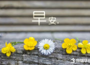 星期一早安問候語圖片