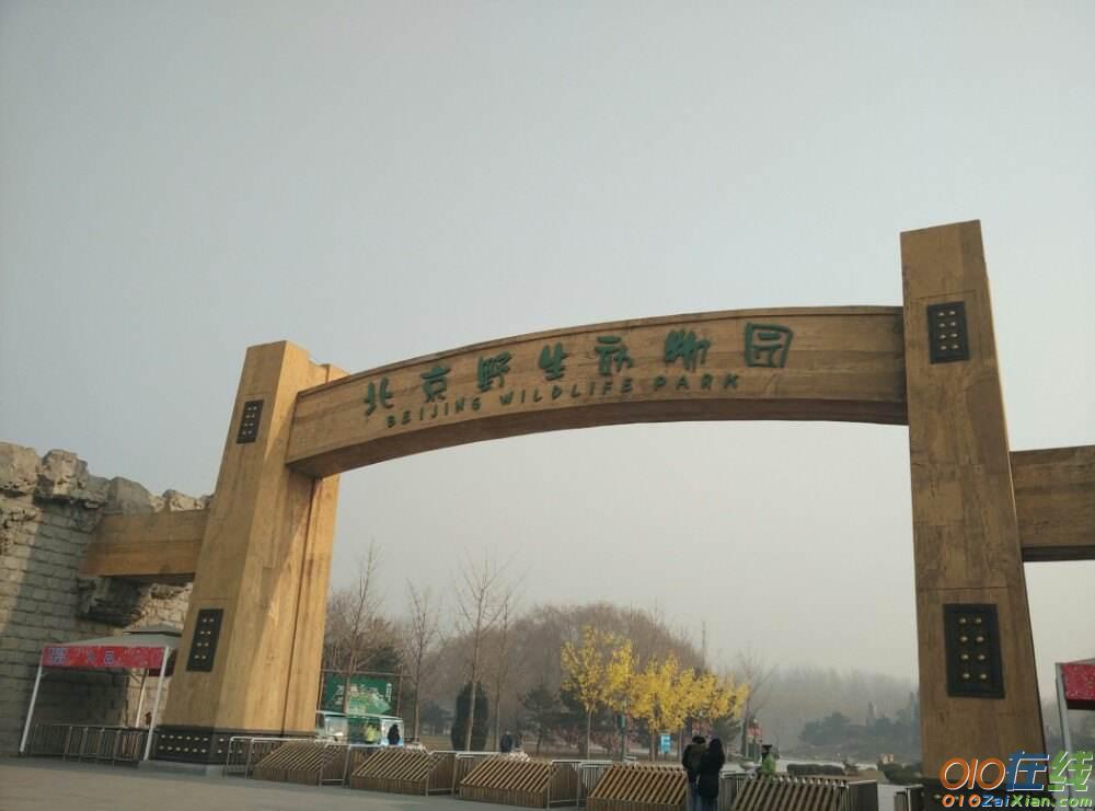 北京野生动物园图片