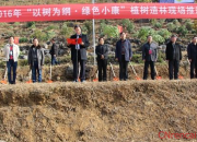 植樹造林綠化工作推進會會簡報