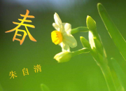朱自清的散文《春》全文
