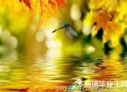 江南文化對徐志摩詩歌創(chuàng)作的影響