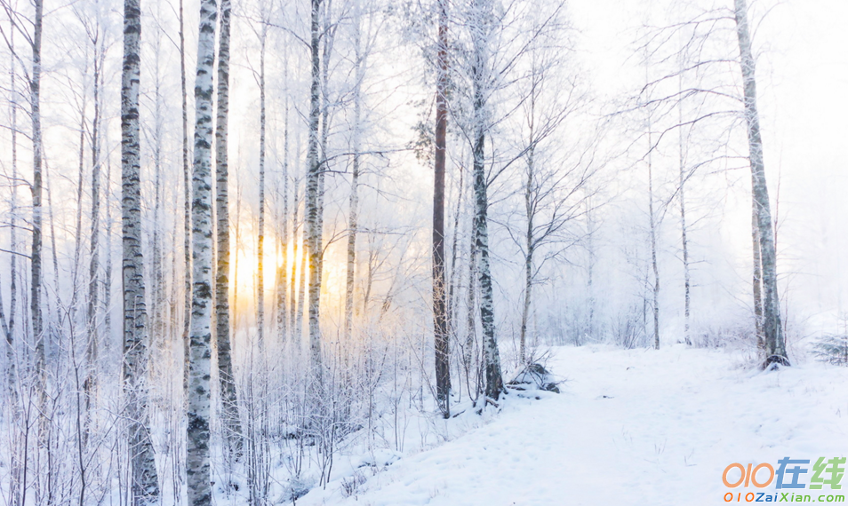 形容冬季雪景的优美句子70句