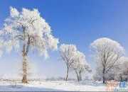 形容冬季雪景的優美句子70句