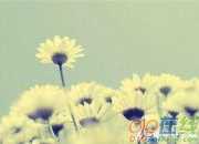 情人傷感的詩句經典
