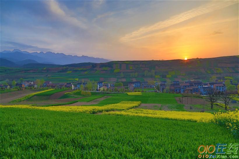 西安鲍旗寨村油菜花图片