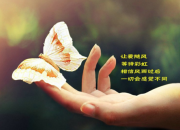 富有生活哲理的人生格言