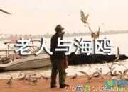 【热门】老人与海鸥教案4篇