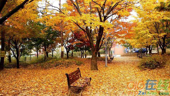 关于描写秋天美景的古诗词