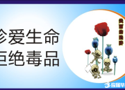 2017學(xué)校禁毒標語
