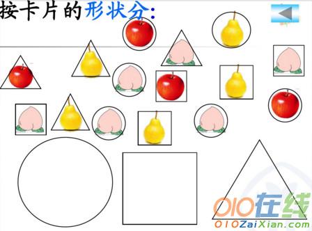 分类与整理教学课件