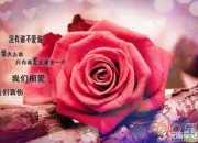唯美愛情詩歌《一掘夢里的爛漫》