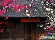 古詩大林寺桃花帶拼音