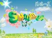 兩句夏天的詩句有哪些