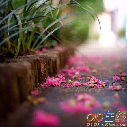 梦里落花的诗歌
