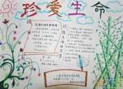 熱愛生命手抄報
