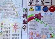 交通安全的手抄報
