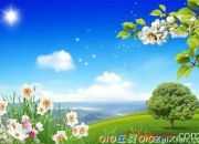 愛護花草樹木的倡議書