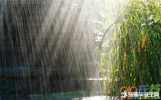 写雨天的段落