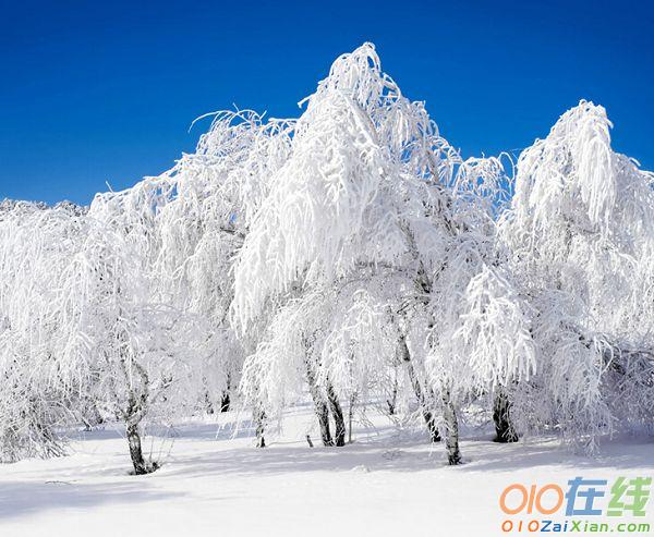 雪开头的诗句