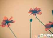 描寫冬日美景的詞語都有哪些