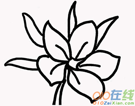 黑板报樱花简笔画