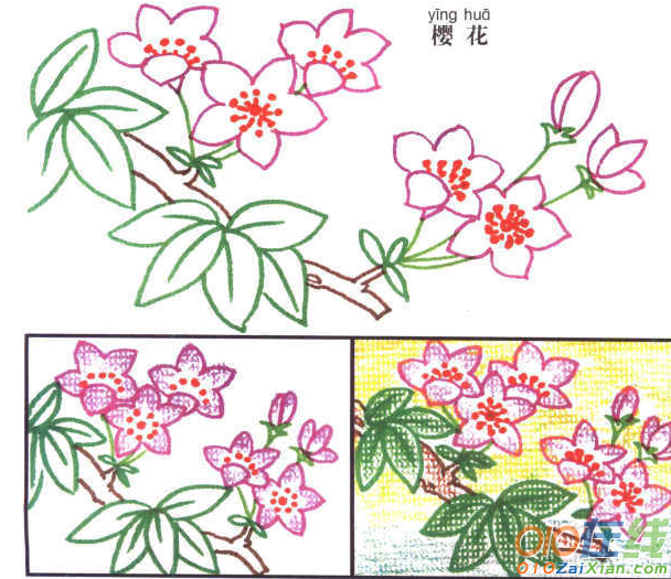 黑板报樱花简笔画