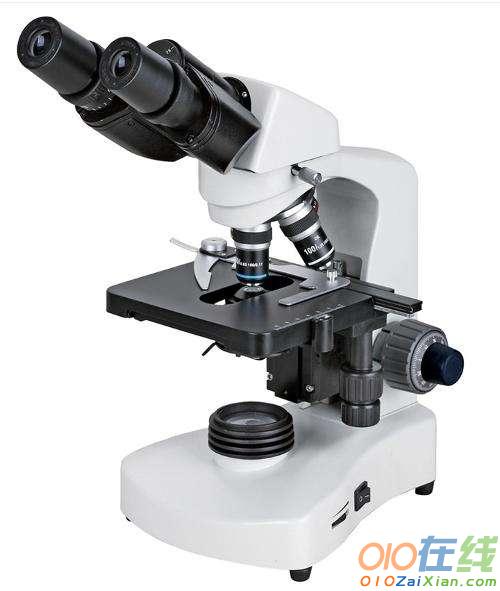 显微镜的使用方法教案
