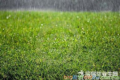 描写夏雨的句子或段落200字