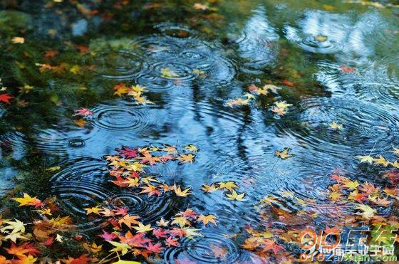 秋天与秋雨的诗句
