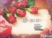 唯美愛(ài)情詩(shī)歌《花季的語(yǔ)錄》