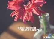 經(jīng)典優(yōu)美句子