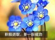 工作勵志的句子致自己簡短