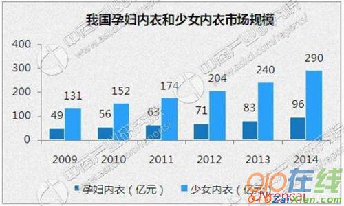 2016中国女士内衣市场调查报告