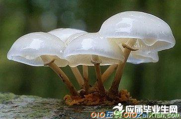 正能量的中华经典段落