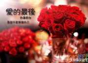 意境唯美愛情詩歌《山澗幽徑》