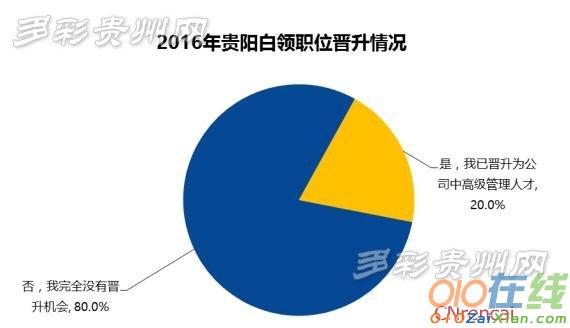 2016年贵阳白领工作满意度调查报告