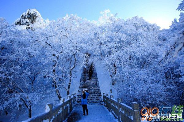 关于写雪的散文