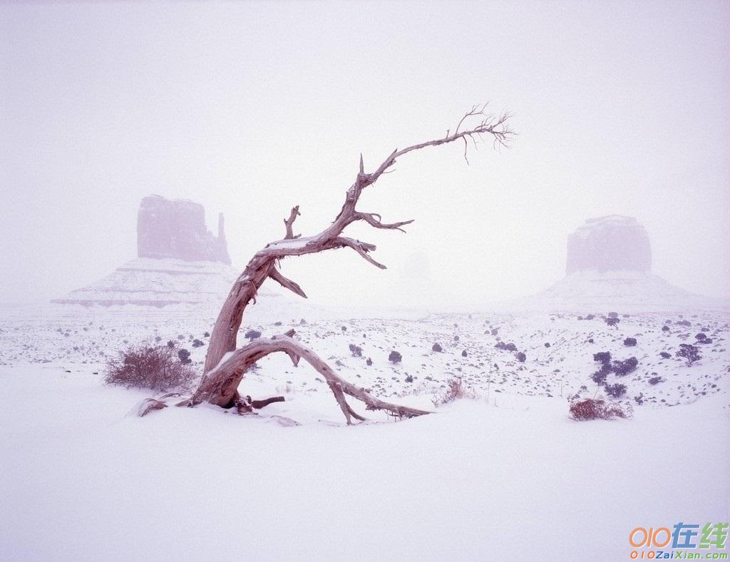 关于描写雪的优美句子