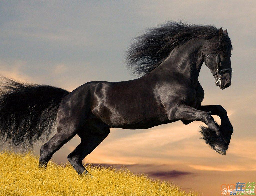 中国古代关于马的寓言故事