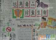 禁毒教育手抄報內容資料