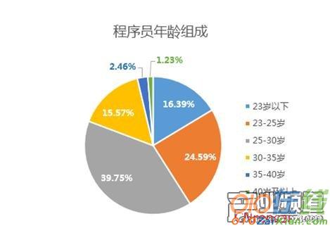 2016中国程序员薪资生存现状调查报告