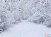 雪景的優美段落200字