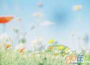 夏日的詩詞