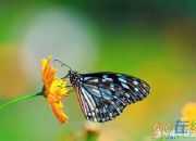 哲理寓言小故事