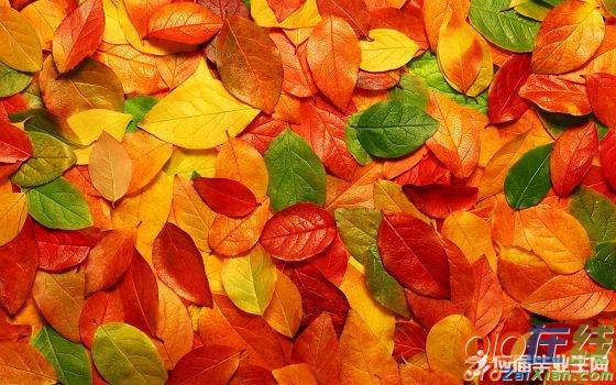 关于秋天美景的古诗词