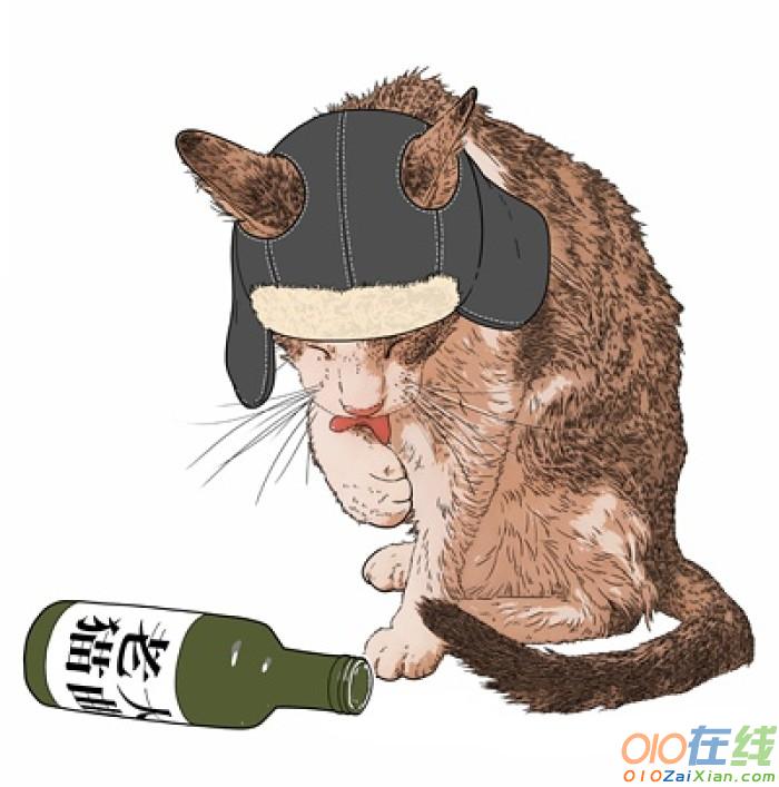 野猫哒哒的生日的故事