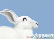 短篇童話改編