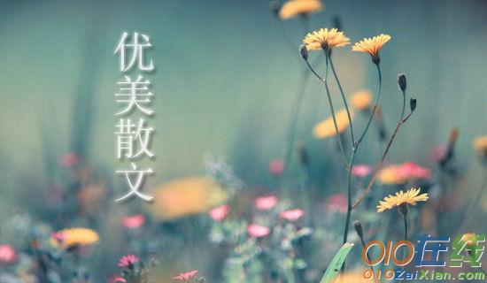 春游五乡寨的优美散文