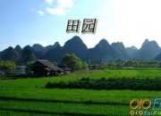 跳繩小學作文300字