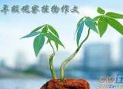 善良四年級作文450字